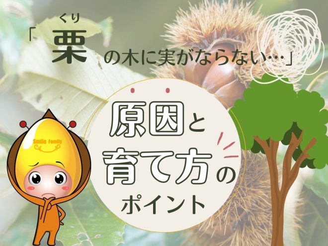 栗の木に実がならない原因と育て方のポイント