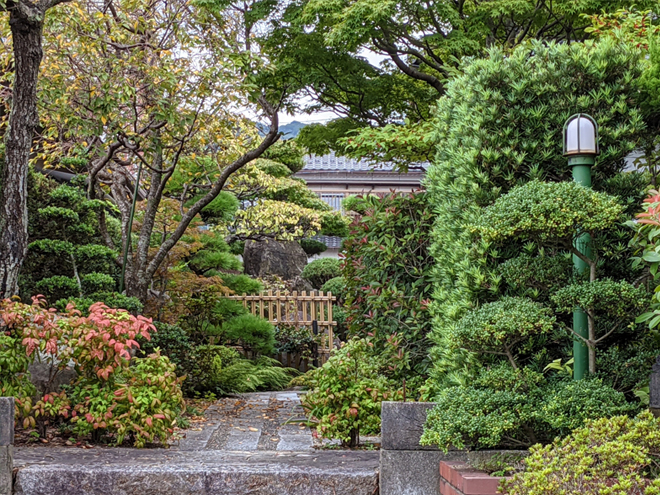庭木が豊富に植えられた和風の庭園