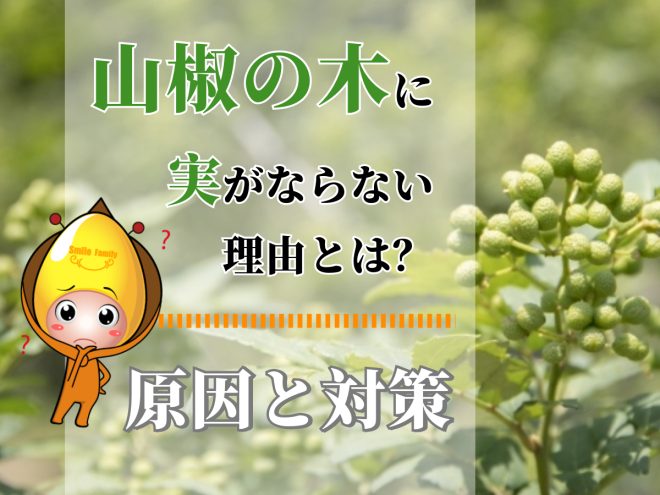 山椒の木に実がならない理由とは？原因と対策