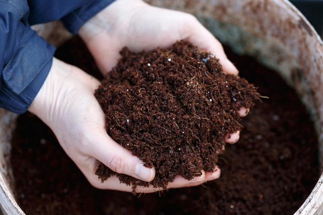 soil