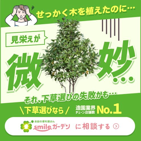 せっかく木を植えたのに見栄えが微妙…それ下草選びの失敗かも
