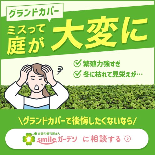 グランドカバーミスって庭が大変に…smileガーデンに相談する