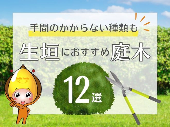 手間のかからない種類も！生垣におすすめの庭木12選