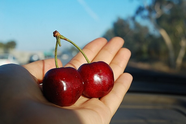 cherry tree