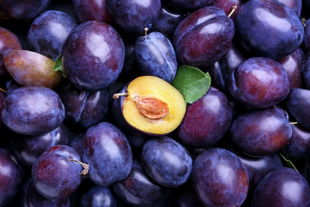 Prunus