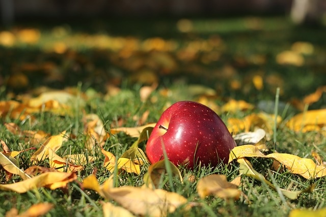 apple