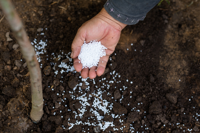 fertilizer