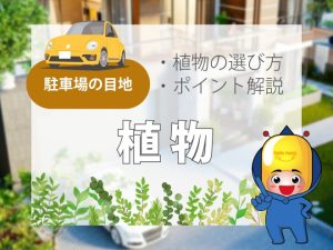 駐車場の目地【植物】植物の選び方やポイント解説