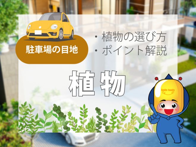 駐車場の目地【植物】植物の選び方やポイント解説