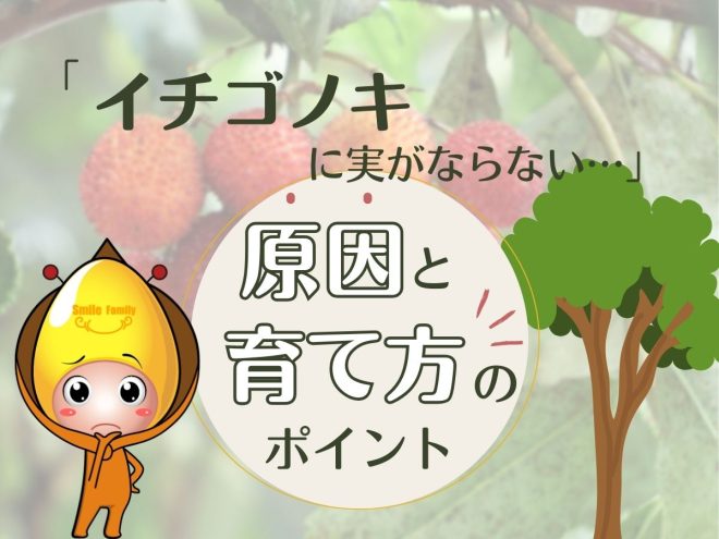 イチゴノキに実がならない原因と育て方のポイント