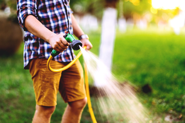 watering