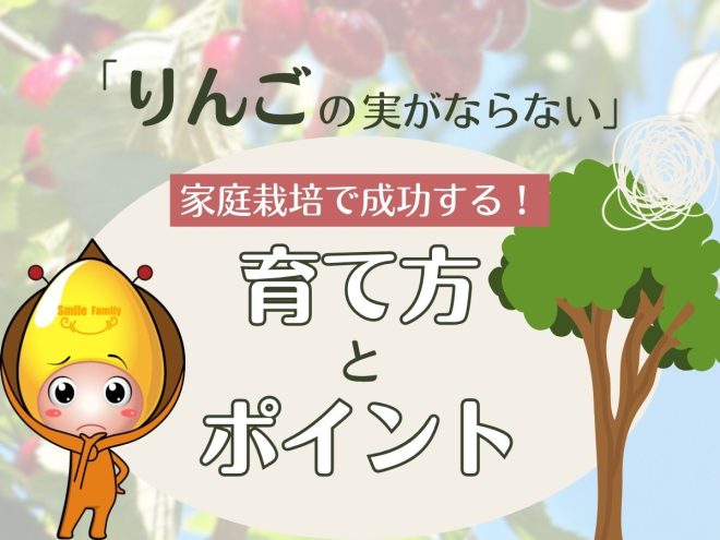 「りんごの実がならない」家庭栽培で成功する！育て方とポイント