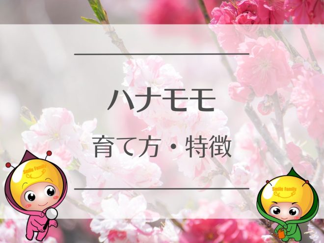 ハナモモの育て方・特徴