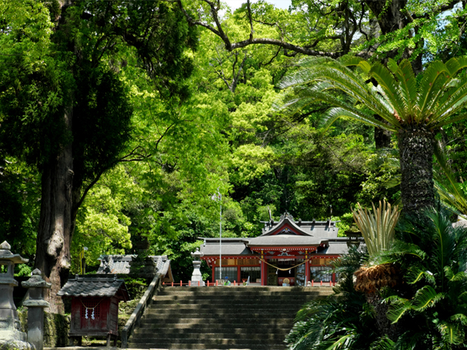 豊かな樹木に囲まれた鹿児島県 蒲生八幡神社