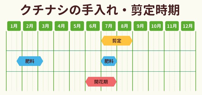 クチナシの剪定時期・お手入れカレンダー