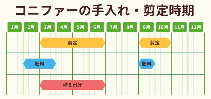 コニファーの剪定時期・お手入れカレンダー