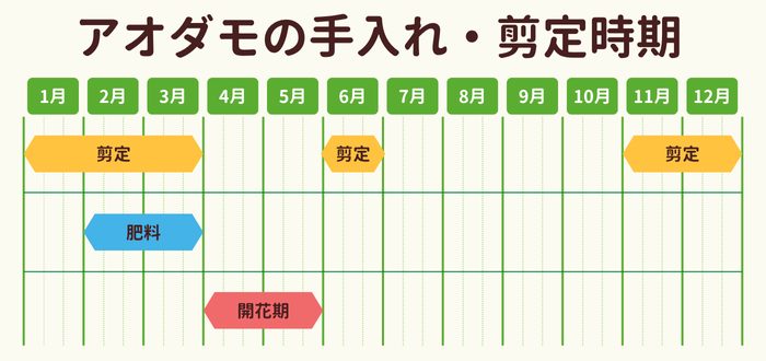 アオダモの剪定時期・お手入れカレンダー