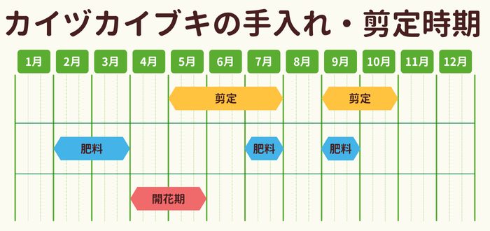 カイヅカイブキの剪定時期・お手入れカレンダー