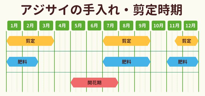 アジサイの剪定時期・お手入れカレンダー