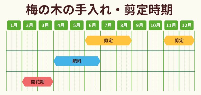 梅の木の剪定時期・お手入れカレンダー