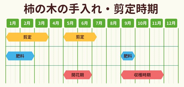 柿の木の剪定時期・お手入れカレンダー