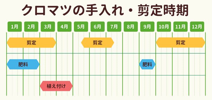 クロマツ（黒松）の剪定時期・お手入れカレンダー