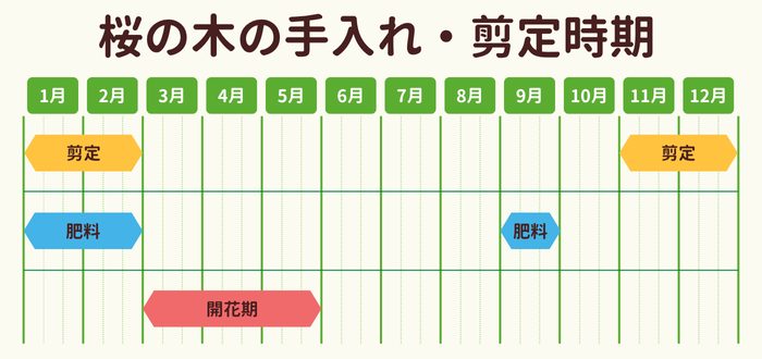 桜の木の剪定時期・お手入れカレンダー