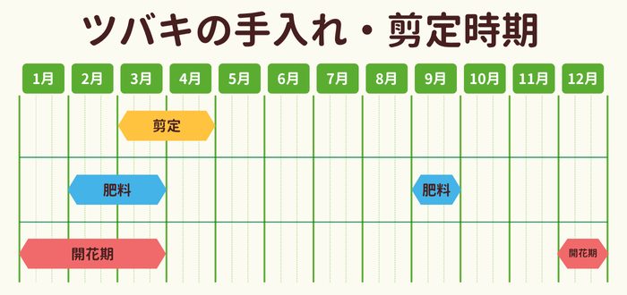 ツバキの剪定時期・お手入れカレンダー