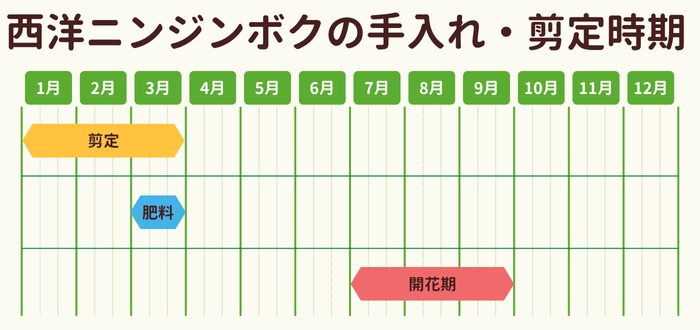 西洋ニンジンボクの剪定時期・お手入れカレンダー