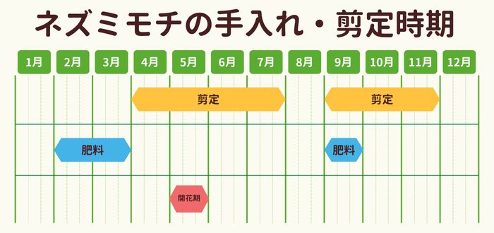 ネズミモチの剪定時期・お手入れカレンダー