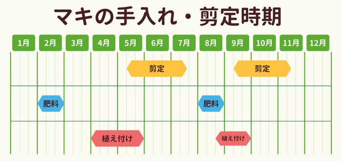 マキ(槙)の剪定時期・お手入れカレンダー