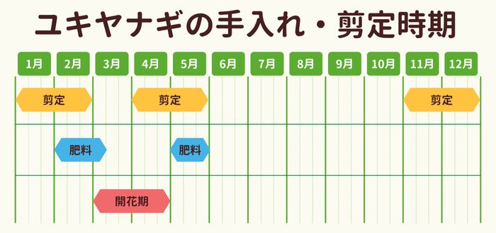 ユキヤナギの剪定時期・お手入れカレンダー