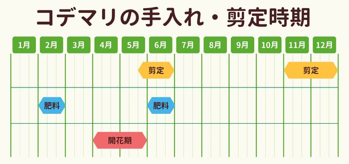 コデマリの剪定時期・お手入れカレンダー