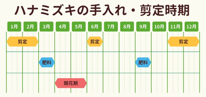 ハナミズキの剪定時期・お手入れカレンダー