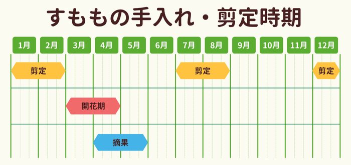 すももの剪定時期・お手入れカレンダー