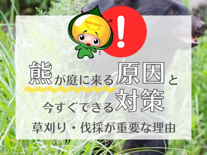熊が庭に来る原因と今すぐできる対策（草刈り・伐採が重要な理由）