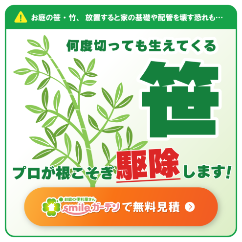 お庭の笹・竹、放置すると家の基礎や配管を壊す恐れも…何度切っても生えてくる笹。プロが根こそぎ駆除します!お庭の便利屋さんsmileガーデンで無料見積